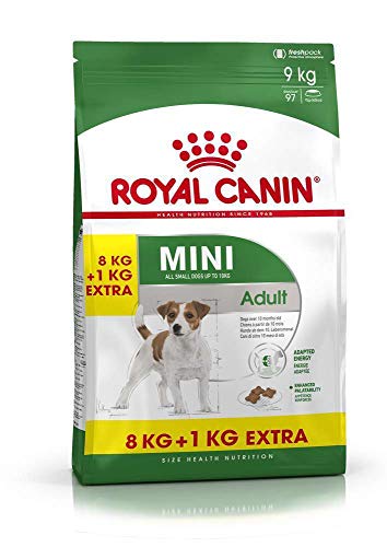 ROYAL CANIN Perros Forro Mini Adult, 8 + 1 kg Gratis, 1er Pack (1 x 9 kg)