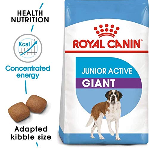ROYAL CANIN Puppy/Junior Dry Dog Food Giant Active 8-18/24 Meses (>45 kg) 15 kg