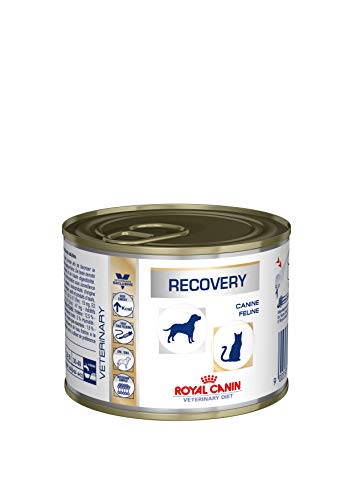 Royal Vet Canine Recovery Caja 12X195Gr 2340 g