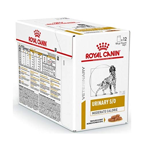 Royal Vet Canine Urinary S/O Caja 12X100Gr 1200 g