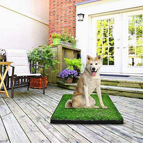 Sailnovo Inodoro para Mascotas Perro Césped Interior Orinal Perro Almohadilla de Entrenamiento de Hierba para Animal Doméstico(63 x 50 x 7 cm)