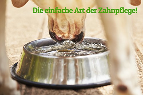 Schnüffelfreunde Higiene Dental para añadir al Agua para Perros y Gatos | Aliento Fresco y Dientes sanos - Ayuda a prevenir la Placa y el sarro - 500 ml (Classic)