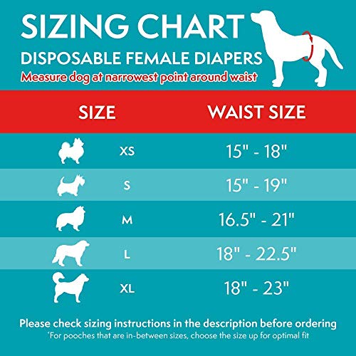 Simple Solution pañales de perro hembra desechables, grande/XL (paquete de 12)