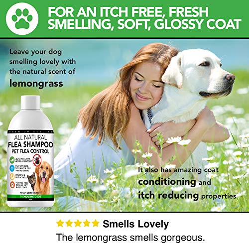The Healthy Dog Co Champú antipulgas Completamente Natural | Limoncillo | 500ml | El Mejor Tratamiento para Perros y Gatos | Fórmula Potente y Segura | Mata y controla pulgas garrapatas y piojos
