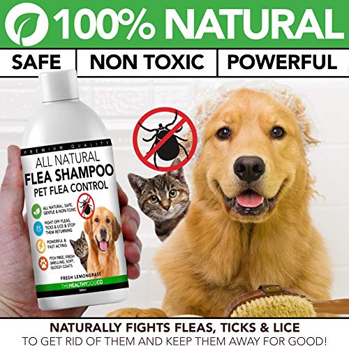 The Healthy Dog Co Champú antipulgas Completamente Natural | Limoncillo | 500ml | El Mejor Tratamiento para Perros y Gatos | Fórmula Potente y Segura | Mata y controla pulgas garrapatas y piojos