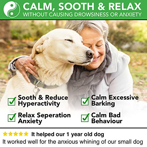 The Healthy Dog Co Gotas Calmantes Completamente Naturales para Perros y Gatos | 50-100 Administraciones | El Producto Calmante más Seguro para Aliviar el Estrés y la Ansiedad de Las Mascotas