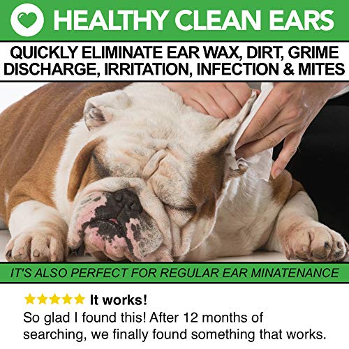 The Healthy Dog Co Limpiador Completamente Natural de Oídos para Perros | 250ml | Ponga Fin al Sufrimiento de Sus Perros en 2-3 Días | Elimina Los Olores, la Picazón y Las Secreciones
