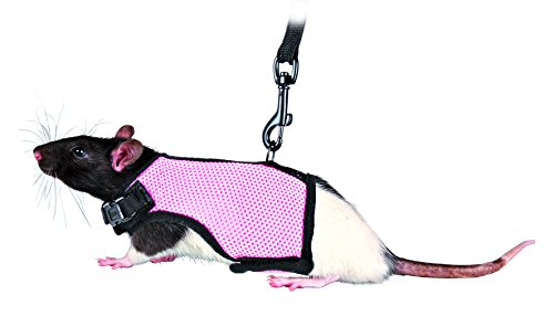 Trixie Arnés suave con correa para Ratas, 9-12 cm/12-18 cm,1.20m, colores surtidos