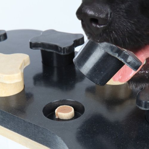 Trixie Dog Activity Juego Interactivo - Juguete para Perros Accesorios para Perros Dog Activity Game Bone 31x20 cm Nivel 1 y 2