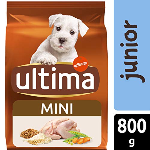 Ultima Pienso para Perros Mini Junior con Pollo - Pack de 8 x 800 g, Total: 6.4 kg