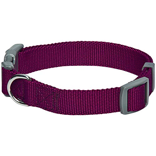 Umi. Essential Classic - Collar para perros S, cuello 30-40 cm, collares ajustables para perros (morado)