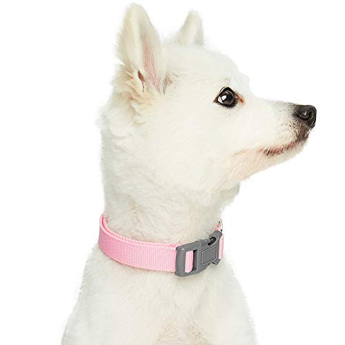 Umi. Essential Classic - Collar para perros S, cuello 30-40 cm, collares ajustables para perros (rosa)