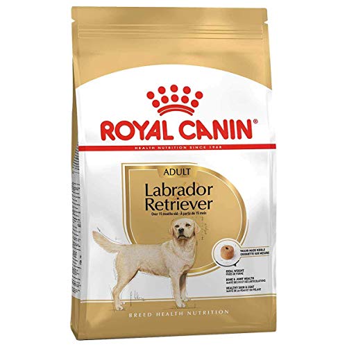verdecora Royal CANIN Labrador Retriever 30 12KG