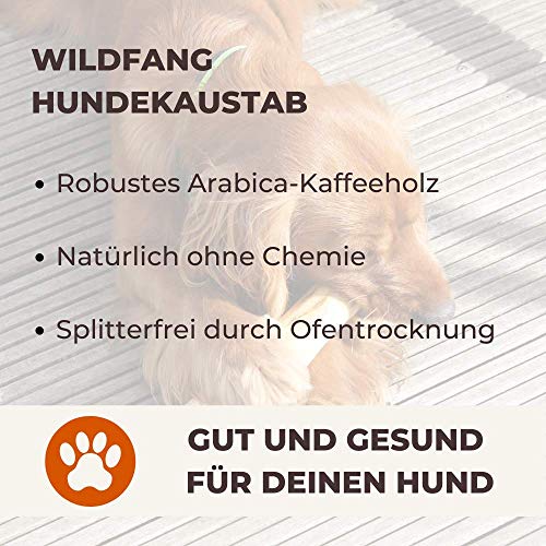 Wildfang - Varilla para Masticar Perros de Madera de arábiga Talla M