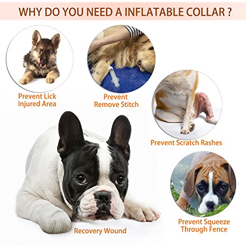 YAMI Collar de recuperación Inflable para Perros, Cono de Cuello isabelino Ajustable para Mascotas Recuperación de cirugía o heridas (S)