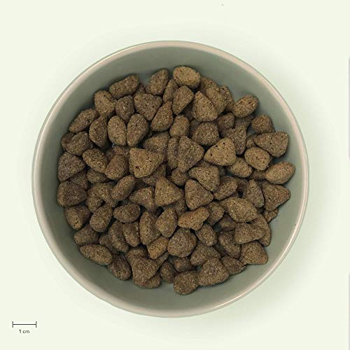 YARRAH - Comida Seca para Perros Vegetariana/Vegana con Soja orgánica, Aceite de Coco, limina Blanca y Baobab, Apto para Todos los Tipos de Perros Adultos, 10 kg