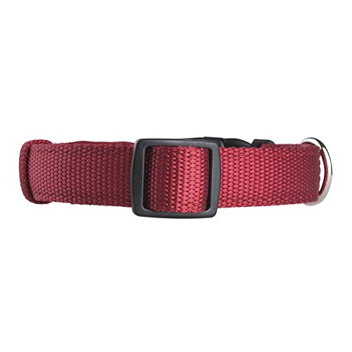 Yudote - Collar de perro de nailon, ajustable, con acolchado de neopreno suave para cachorros, tamaño pequeño, mediano y grande, uso diario