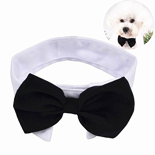 YUMSUM Collar de pajarita para mascota, fila formal para el cuello del perro o gato con cierre ajustable collar blanco