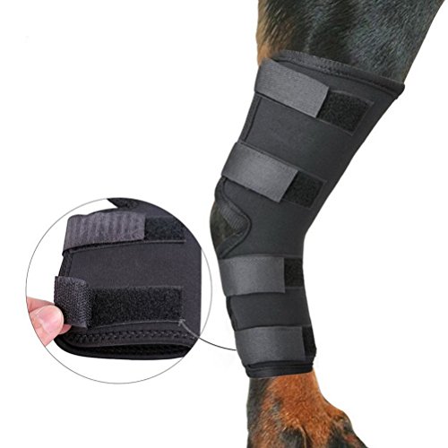 Zunea Dog Canine - Juego de 2 Protectores para la Pierna Trasera y Soporte Extra para la articulación de la Pierna y la Artritis
