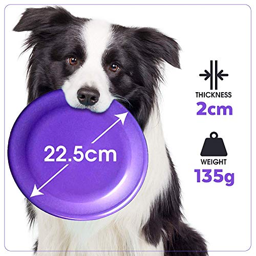 5 Frisbees De Perro, Juguetes para Perros - Colores Vibrantes - Diseño Aerodinámico para lanzamientos sin Esfuerzo - Durable Adiestramiento de Perros, Tiro, Captura y Juego.