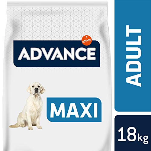 Advance Adult Maxi - Pienso para Perros Adultos de Razas Grandes - 18 kg