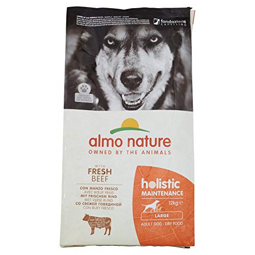 almo nature Dog Dry PFC Holistic Adult Buey Razas Grandes