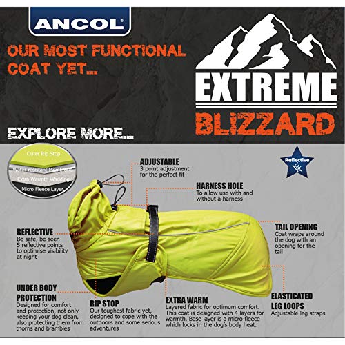 ANCOL Extreme Blizzard - Abrigo para Perro (70 cm, XXL), Color Rojo