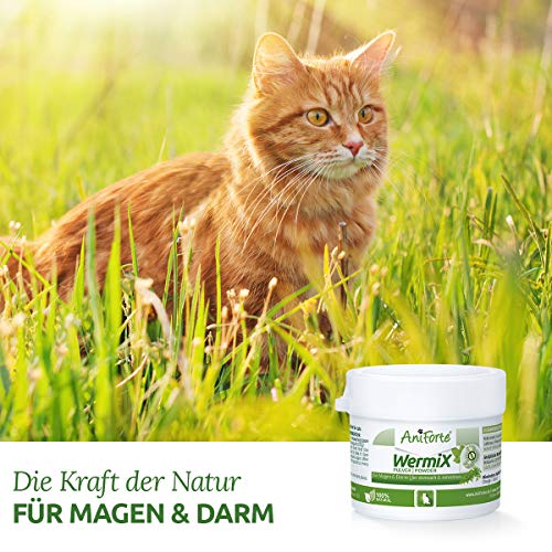 AniForte WermiX en polvo para gatos 25g - producto natural para antes, durante y después de la infestación de gusanos, el ajenjo y las hierbas naturales ayudan al estómago y el intestino