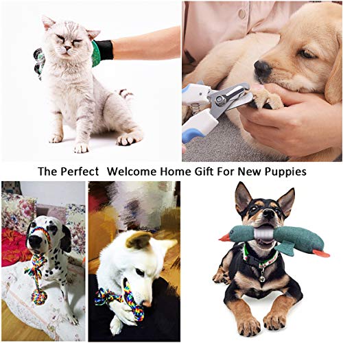 AONESY 24pcs Puppy Starter Kit, Set de Regalo de Suministros para Perros para Perros, Incluye: Juguetes para Perros/Herramienta de Aseo para Perros/Suministros de alimentación para Perros