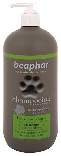 Beaphar - Champú Premium para Perros, 750 ml