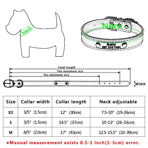 BERRY Etiquetas de identificación para Mascotas Acero Inoxidable, diseño de Huellas de Perro, Gato – Etiquetas de identificación para Mascotas Brillantes Personalizadas con Cascabel