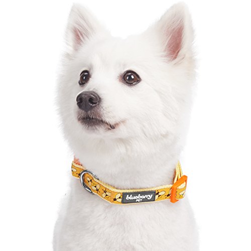 Blueberry Pet cerezo Rose y almendrados patrón Collar de perro de banda, bolsa de perros Lino disponible independientes