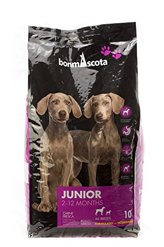 bonmascota Premium trockenfutter Junior 2 – 12 meses 10 kg – Cachorro Forro, weizenfrei, con alto Porcentaje Carne