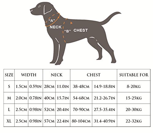 BPS® Arnés Correa para Perros Mascotas Collar Ajustable 4 Tamaños Colores para Elegir para Perro Pequeño Mediano y Grande (L, Negro) BPS-3883N