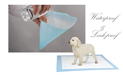 BPS Empapadores de Entrenamiento XL para Perros Gatos Perfumes con Feromonas para Atraer los Cachorros Tamaño XL (20pcs 60*90 cm) BPS-2170*1
