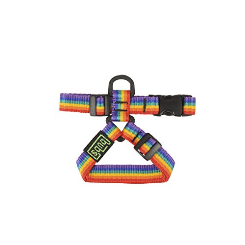 bub's Petral Pequeño, Color Rainbow