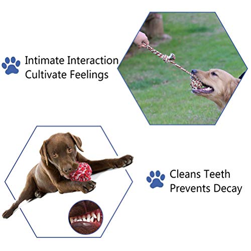 BUYGOO 5 Piezas Juguete de Cuerda para Perro no Tóxico e Insípido Masticar Cuerdas Algodón para Cuidado Dental Durable