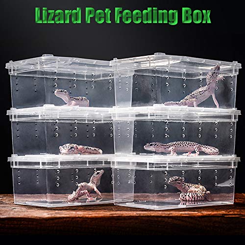 Caja de plástico Transparente Terrario de Reptiles de Insectos Cría Clara Caja de alimentación de Alimentos Vivos Serpientes Lagarto Ranas Casa
