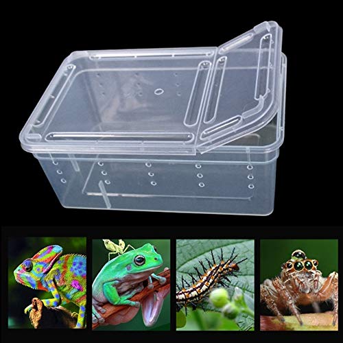 Caja de plástico Transparente Terrario de Reptiles de Insectos Cría Clara Caja de alimentación de Alimentos Vivos Serpientes Lagarto Ranas Casa