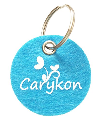 Carykon - 20 Horquillas para el Pelo de Perro con Forma de corazón, para Gafas de Sol, moños de Mascota, Pinzas para el Pelo de cocodrilo, Accesorios para el Pelo de Mascotas