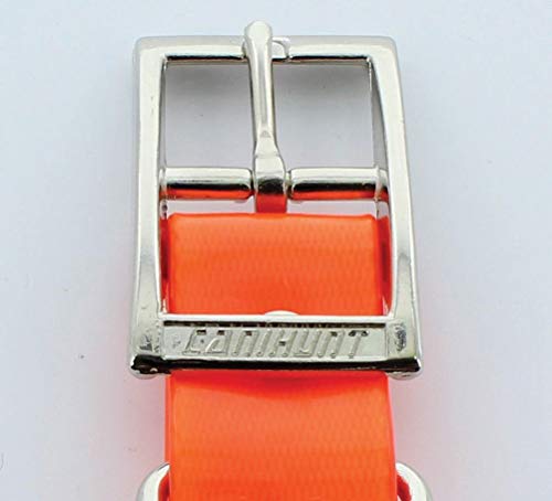 Collar Perro de caza PVC naranja Biothane Beta 2.5 x 60 cm flexible/resistente (Important de ver las detalles)