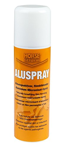 Desinfektionsspray ALUSPRAY - silber, 200