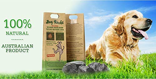 Dog Rocks - Bolso Preventivo de Parche de Orina Dog Rocks (200 g), negro