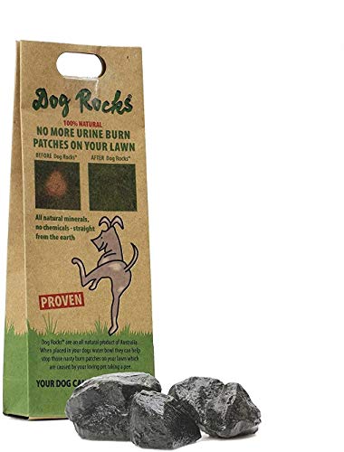 Dog Rocks - Bolso Preventivo de Parche de Orina Dog Rocks (200 g), negro