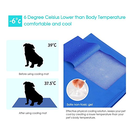 DQMEN Alfombrilla de refrigeración Manta Enfriador para Perros y Gatos. Reduce la sensación térmica Corporal (M 50x40cm)