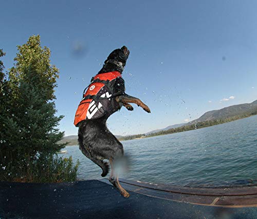 EzyDog Chaleco Salvavidas para Perros - DFD - Ideal para Natación y para que tu Cachorro esté Seguro en el Agua, Perros Seguridad Natación Ropa (M, Amarillo)