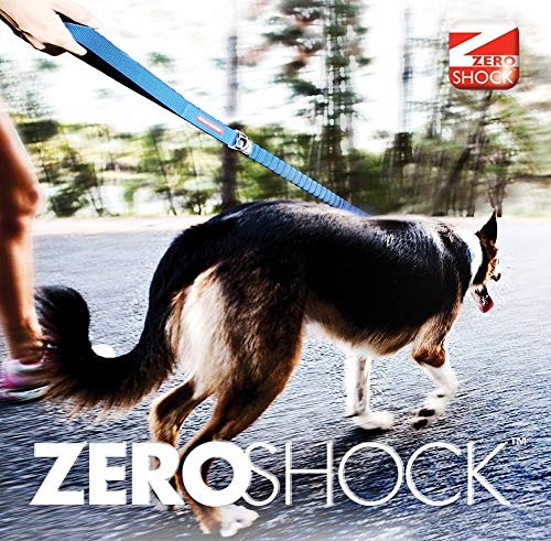 EzyDog Zero Shock - Correa 48", Azul