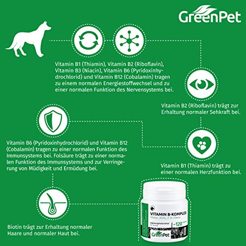 GreenPet Complejo de Vitamina B Perros - 8 vitaminas B, biotina, ácido fólico, minerales, Alta dosis para Perros Viejos (Senior), jóvenes y Cachorros, 4 Meses