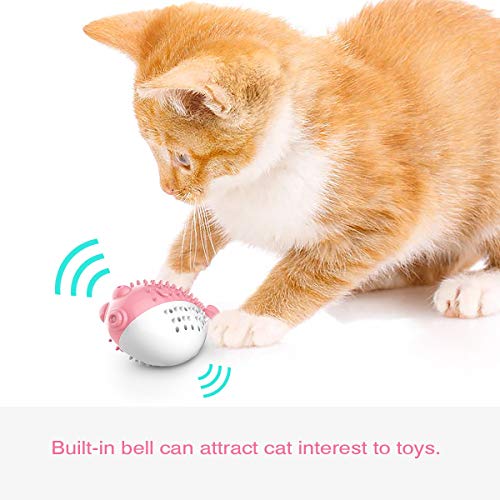 Juguete divertido con forma de pez globo, juguete para mascotas con sonda integrado, material de goma resistente al desgarro, juguete interactivo para gato.