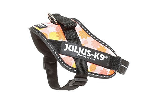 Julius-K9 16IDC - Power Harness